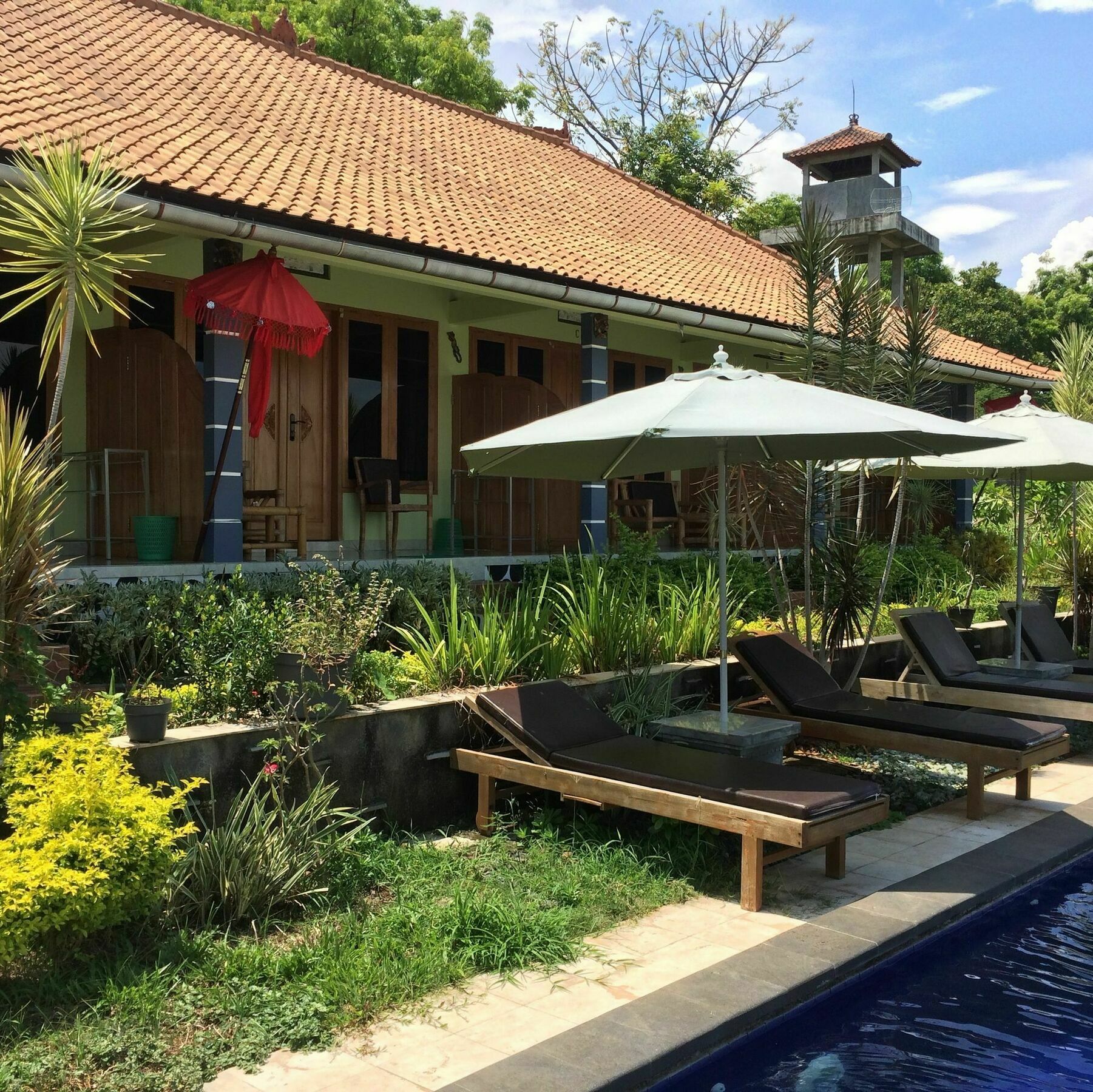 Bali Natur Lovina Exteriör bild
